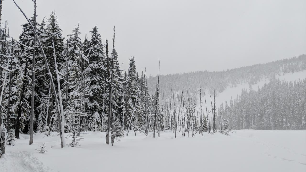 White Pass Log Cabin Luxury Retreat Rimrock Kültér fotó